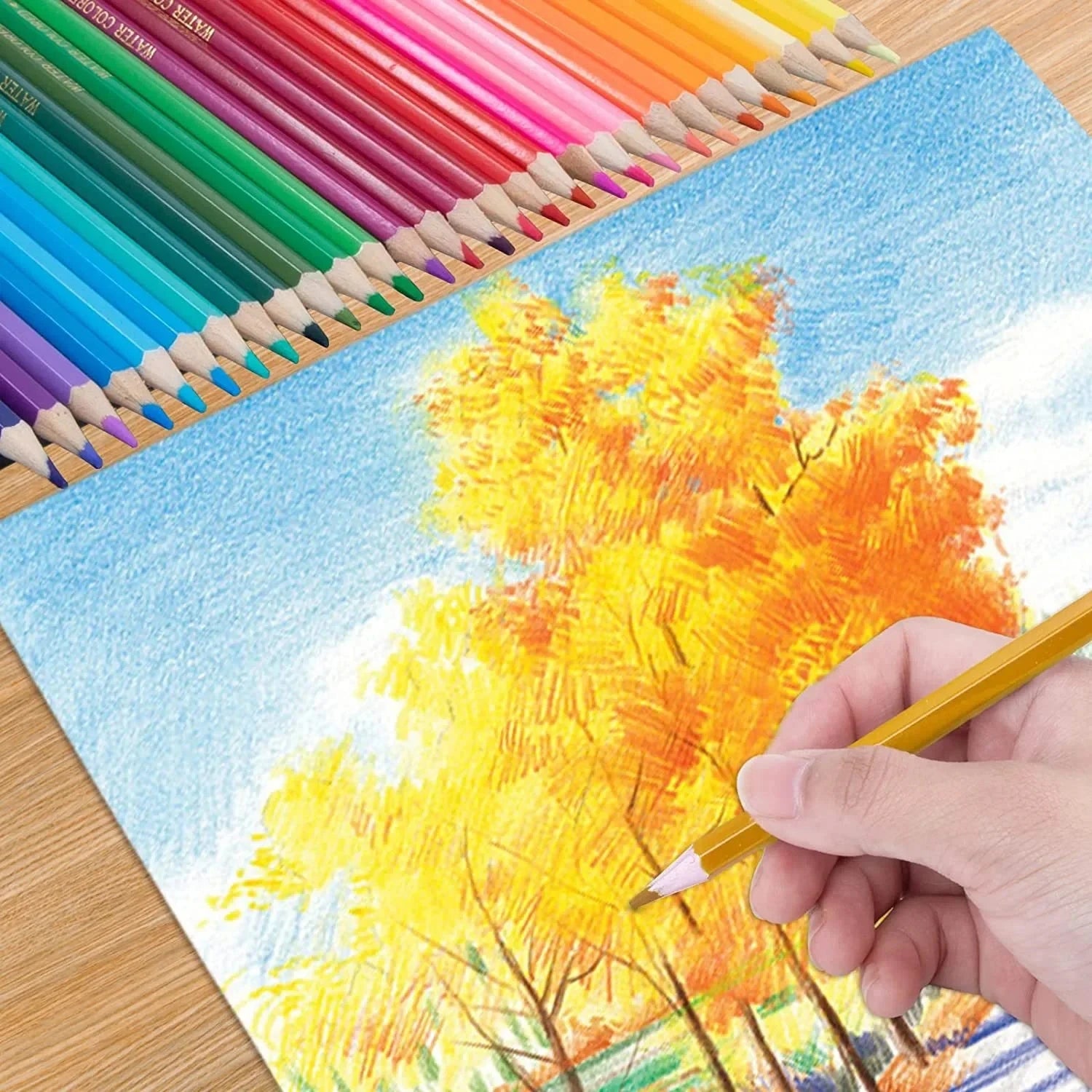 50/72PCS Colored Pencils Set With Canvas Roll-Up Vibrant Color Pencil Art Supplies Stationery, 3PCS Colored Black Wood Pencils