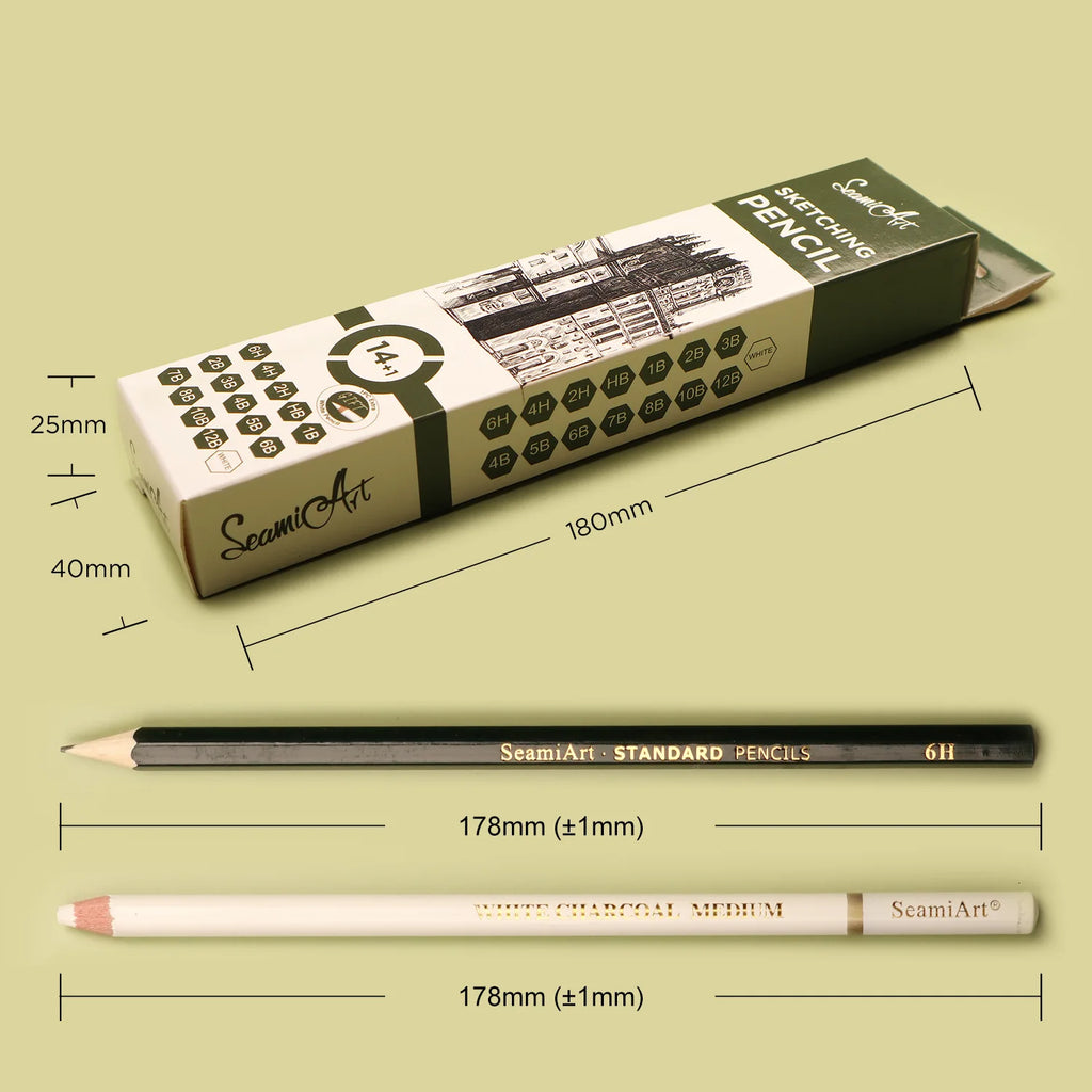 14PCS Sketching Pencil Set (6H–12B) with White Charcoal – Drawing Pencils for Artists, Shading, Sketch, Art Supplies for Kids &