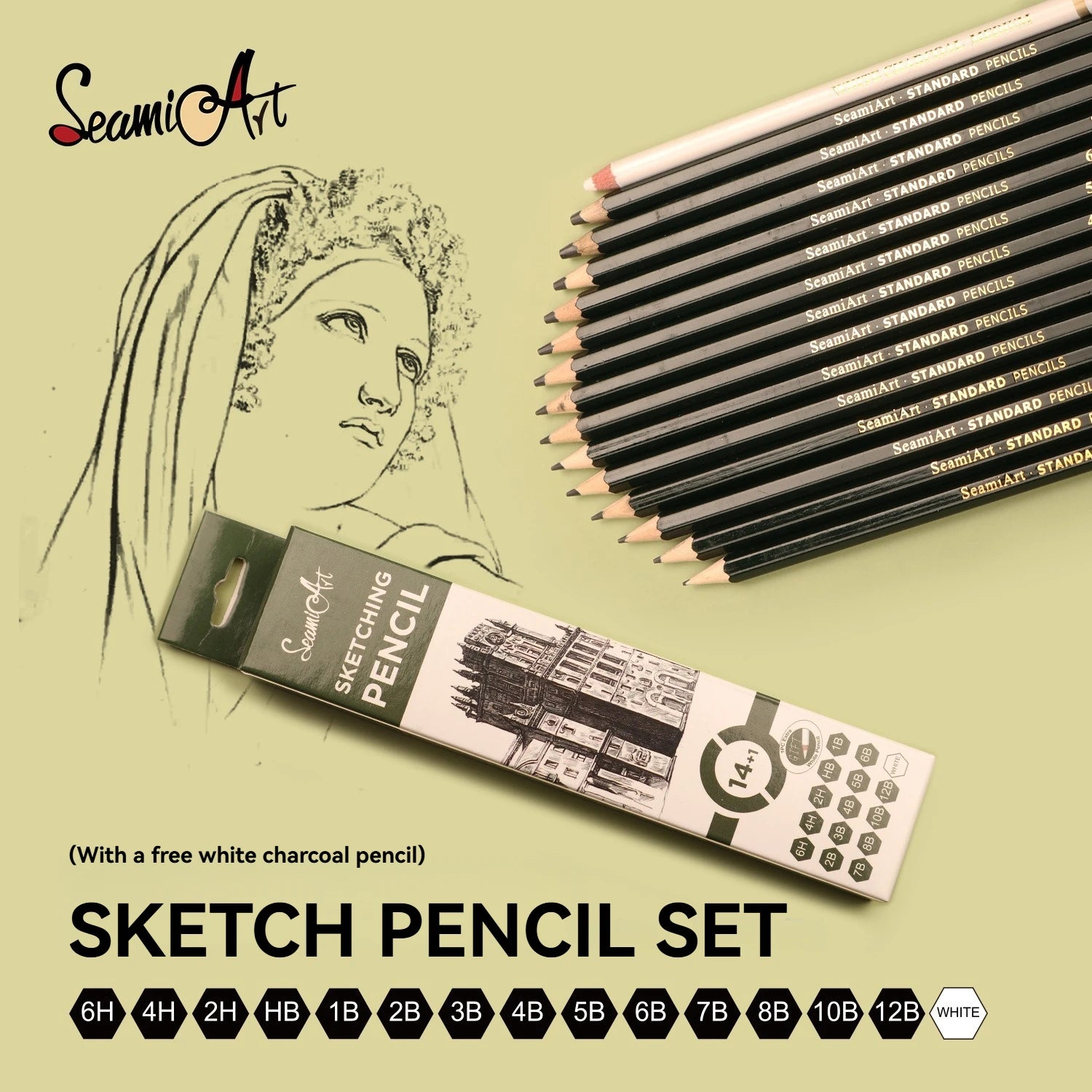 14PCS Sketching Pencil Set (6H–12B) with White Charcoal – Drawing Pencils for Artists, Shading, Sketch, Art Supplies for Kids &
