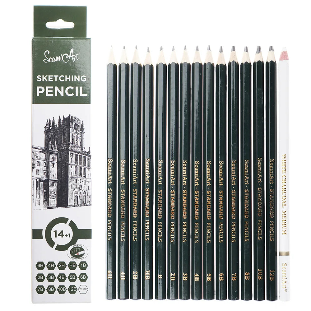 14PCS Sketching Pencil Set (6H–12B) with White Charcoal – Drawing Pencils for Artists, Shading, Sketch, Art Supplies for Kids &