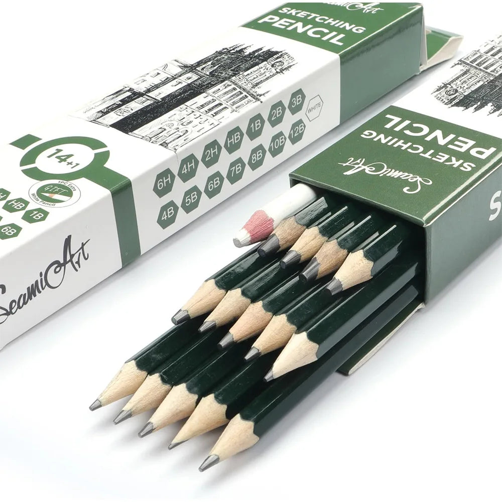 14PCS Sketching Pencil Set (6H–12B) with White Charcoal – Drawing Pencils for Artists, Shading, Sketch, Art Supplies for Kids &