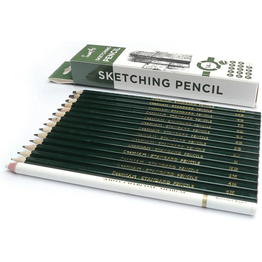 14PCS Sketching Pencil Set (6H–12B) with White Charcoal – Drawing Pencils for Artists, Shading, Sketch, Art Supplies for Kids &