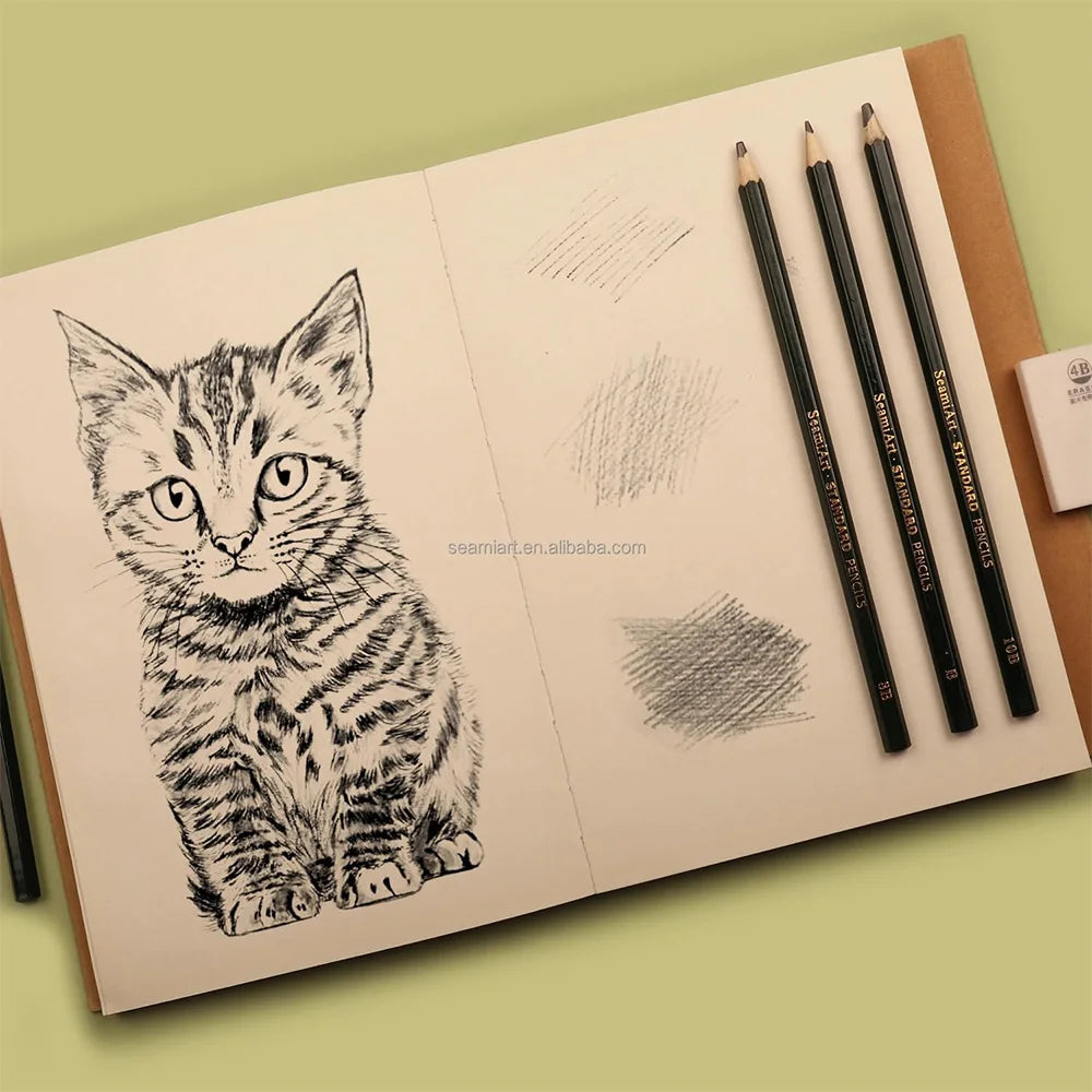 14PCS Sketching Pencil Set (6H–12B) with White Charcoal – Drawing Pencils for Artists, Shading, Sketch, Art Supplies for Kids &